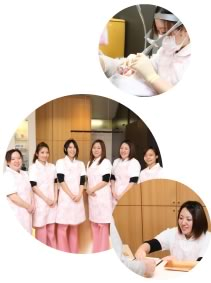 歯科衛生士 歯科助手 歯科技工士の求人 公式 木谷歯科 香川県多度津 世界レベルの高度歯科医療